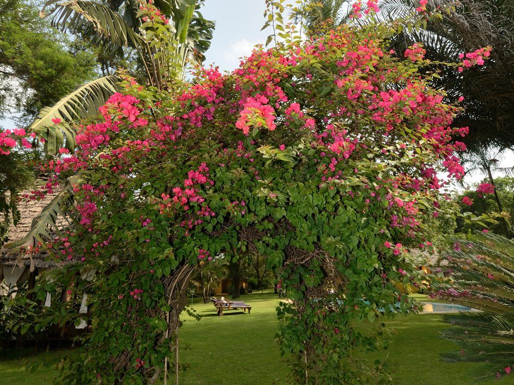 Arusha Safari Lodge Exteriér fotografie